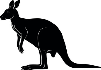 Kangaroo silhouette, Australian marsupial, standing posture, upright stance, long tail, wildlife vector art, minimal design, black illustration, nature animal artwork © Masud World