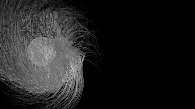 Detailed close up of tangled white strands and thin lines forming a dense abstract texture on a black background emphasizing depth structure and intricate digital pattern