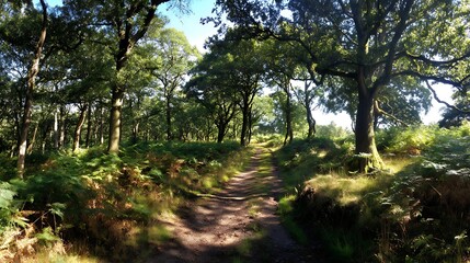 Fototapeta premium Nature-inspired visual concepts exploring seasons, sustainability, eco lifestyle, and mindfulness through immersive perspectives and diverse artistic styles.