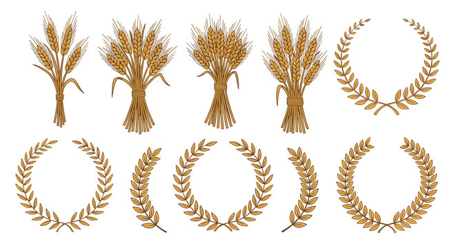 Golden Wheat Sheaf And Laurel Wreath Vector Set With Agricultural Grain Symbols For Harvest Farming Food Packaging And Branding Design