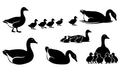 Farm goose family silhouette icon collection with goslings poultry bird vector © Lipi