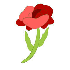 Pink rose with green stem and leaves