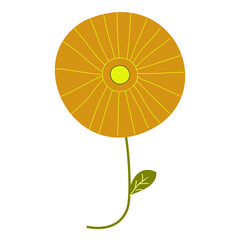 Yellow flower with green stem and leaf