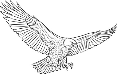 Obraz premium Eagle in Flight, Wings Spread Wide