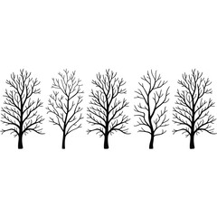 Obraz premium Five bare trees stand in a row against a white background