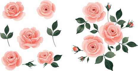 Naklejka premium Blush pink roses and leaves on white background in watercolor style floral arrangement