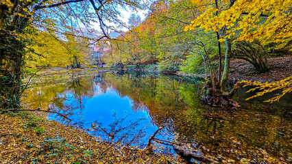 Obraz premium Autumn landscape in (seven lakes) Yedigoller Park Bolu, Turkey