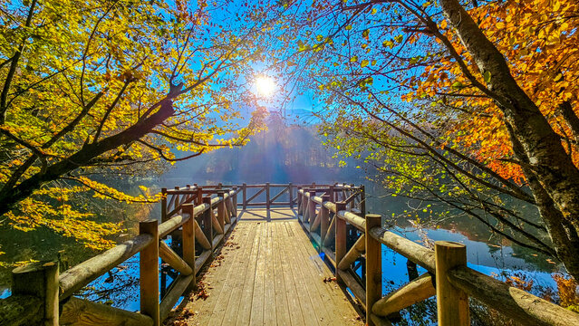 Autumn landscape in (seven lakes) Yedigoller Park Bolu, Turkey