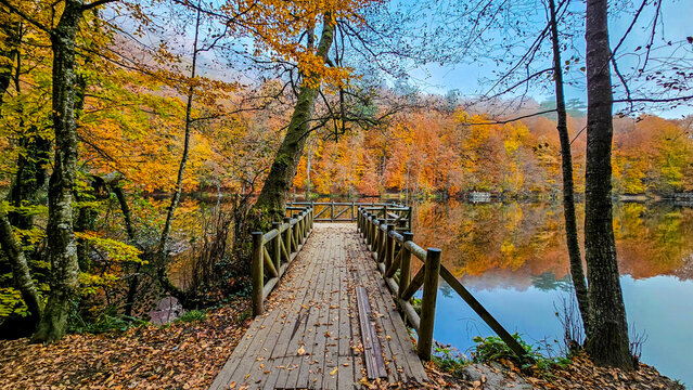 Autumn landscape in (seven lakes) Yedigoller Park Bolu, Turkey
