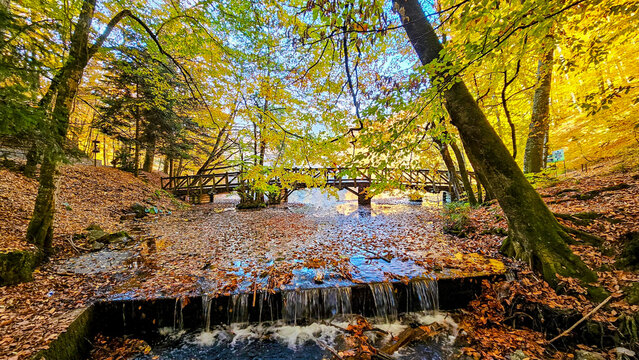 Autumn landscape in (seven lakes) Yedigoller Park Bolu, Turkey