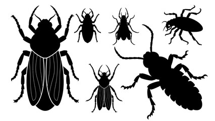 Black insect and beetle silhouettes set on a white background. © jaka-Stock