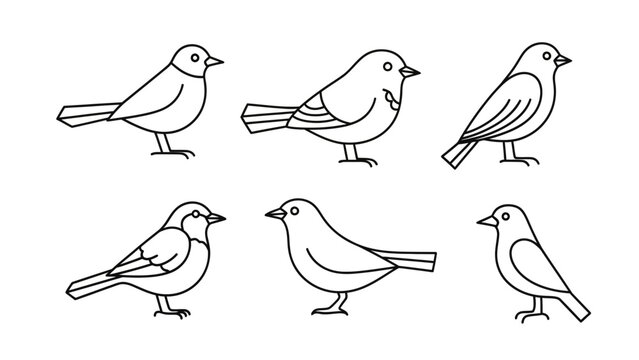 Collection of minimalist bird line art icons on a white background.