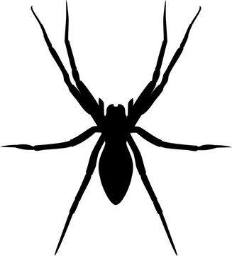 Spider black silhouette isolated on white background. Spooky insect logo illustration, halloween icon vector eps 10