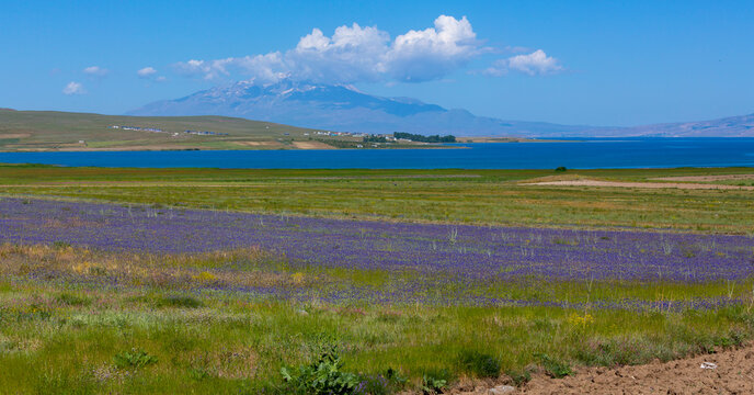 Mount Ararat (Armenian: , Ararat or , Masis; Kurdish: iyay Agir; during the Seljuk period: Eri Da), with an altitude of 5,137 meters, is the highest mountain in Turkiye.