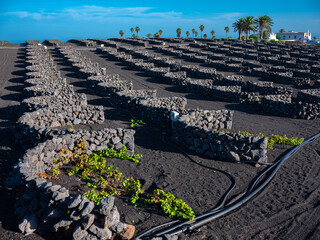 Travelling Lanzarote,  Las montanas del Fuego © Rolf