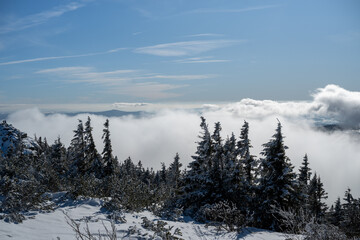 Winter Impressions From The Bavarian