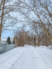 Obraz premium Warsaw, Poland, May 01, 2025. Blue sky appears above a snow covered walking path lined with bare winter trees in a public park. High quality photograph.
