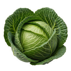 Fototapeta premium Fresh green cabbage head isolated on a transparent background
