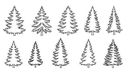 Vintage Forest Outline Vector Set with Conifer Tree Silhouettes for Nature Illustrations © Lipi