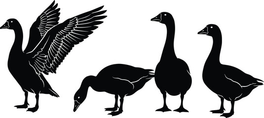Goose silhouette collection, black geese vector set, flying standing grazing waterfowl illustrations isolated on white background for designGoose © Shohan Creatives 