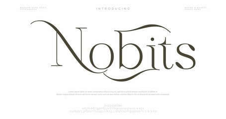 Fototapeta premium Nobits Logo Design with Elegant Typography and Minimalist Style
