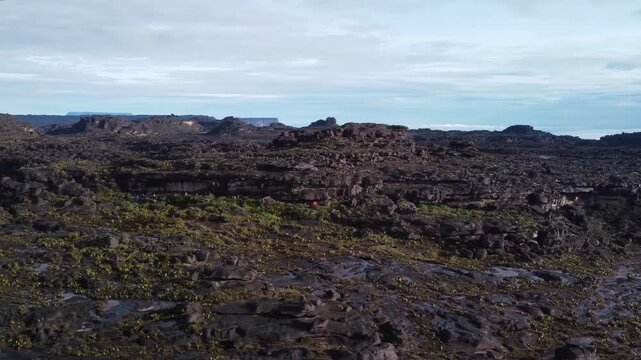Aerial view of the surface of Roraima tepuy and Kukenan tepuy in the background. Explore South America