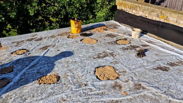 Roof repair process with tar, addressing damage, maintaining flat surface, performing rooftop repairs, applying tar and sealing holes on a waterproofing membrane