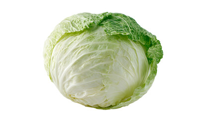 Fototapeta premium Fresh green cabbage close up isolated on transparent background round healthy vegetable ingredient for vegetarian diet and organic food preparation natural culinary element