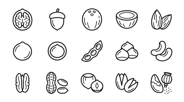 Set of nut and seed line icons featuring various types like walnut, almond, peanut, and pistachio in a simple, minimalist black and white vector illustration