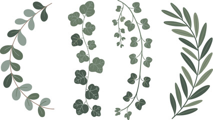 Botanical greenery branches set, eucalyptus ivy and olive leaves isolated on white for wedding invitation and branding design © Maloti Creative