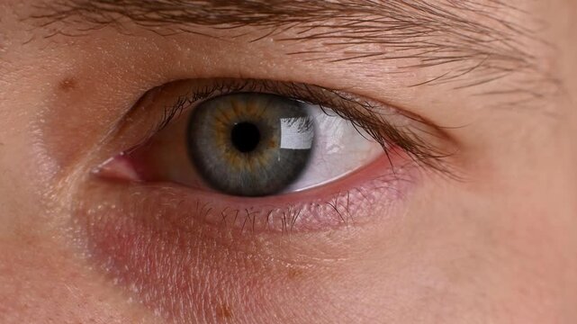 Close-up of human eye with unique iris pattern, showcasing gradual eye movement and blinking in a well-lit indoor setting with soft focus background