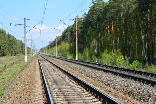 Railway tracks stretching through a lush green forest with electric pylons under a clear blue sky