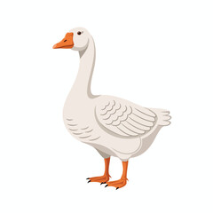 Obraz premium White Goose Standing on Plain Background