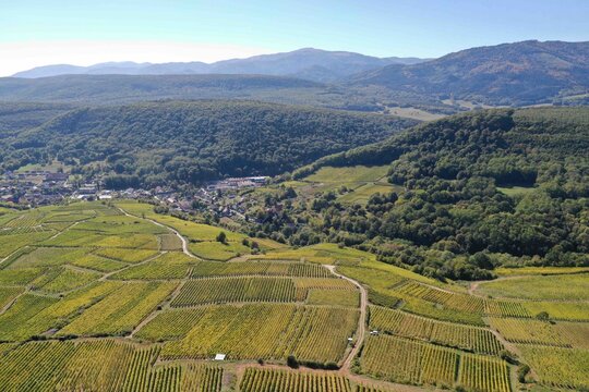 Vignobles et for&ecirc;ts autour du village de Westhalten en Alsace