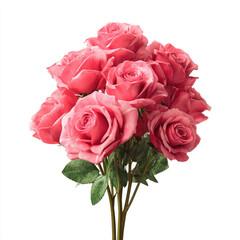 Fototapeta premium Pink rose flower bouquet with green leaves isolated on white