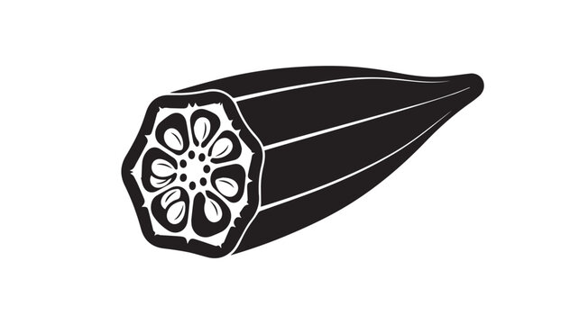 Okra cross section, botanical illustration, white background, stock vector