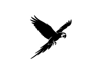 Obraz premium A black and white silhouette of a bird in flight with its wings spread wide. isolated on transparent background, isolated on white background, Vector