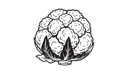 Cauliflower Illustration, Fresh Vegetable, Healthy Food, Outline Design, Stock Media
