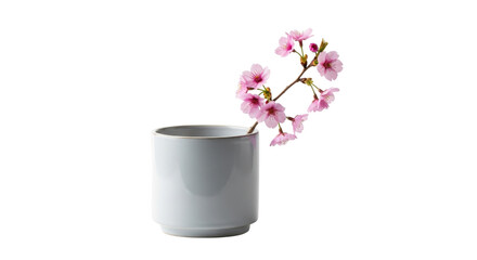 Naklejka premium Delicate pink cherry blossoms with visible stamens arranged in a minimalist matte white ceramic vase, creating a serene botanical display. isolated PNG with Transparent Background