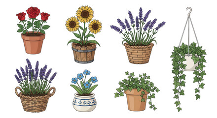 Fototapeta premium A collection of potted plants including red roses, sunflowers, lavender, forget-me-nots, and trailing ivy in various terracotta and wicker containers. isolated PNG with Transparent Background