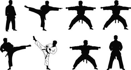 Set of martial arts karate silhouettes performing kicks, stances, and fighting techniques, traditional combat training poses, self defense sport figures isolated on white background © MdZahedul