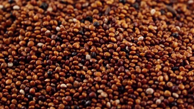 closeup macro pile of canihua seed or baby quinoa texture background rotation turntable food video footage