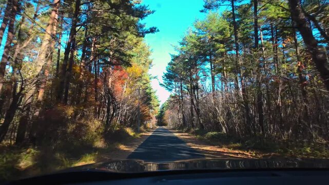 Driving through Autumn Forest POV Shot, Northern Iwate Japan Countryside
