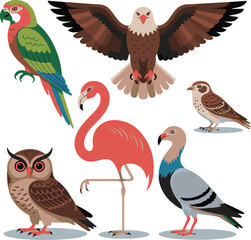 Naklejka premium Different bird breeds including parrot, eagle, sparrow, owl, flamingo and pigeon, clean modern vector illustration