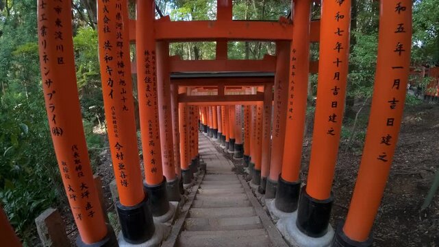 Descending a stone staircase through the famous red torii gates at Fushimi İnari Taisha in Kyoto