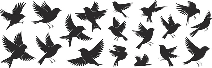 Obraz premium Flying Bird Silhouette Collection in Various Wing Positions Vector Illustration Set Isolated on White Background for Design