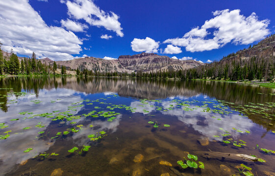 The Uinta Highlands of the Utah Rocky Mountains