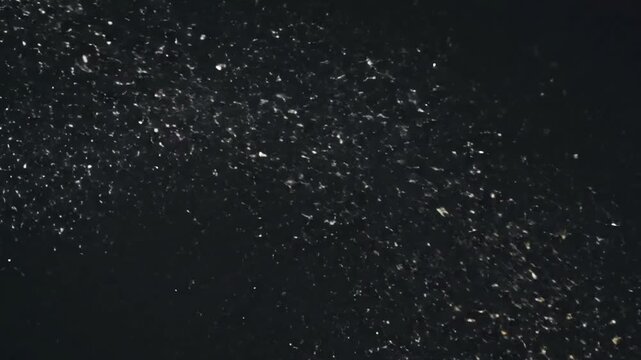 Soft Twinkling Dust An understated field of sparse, glowing white glitter dust that gently twinkles and fades in and out, providing a serene and magical atmosphere.