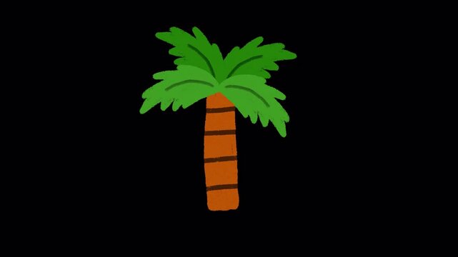 Hand Drawn Coconut Tree Animation on Transparent Background | Cartoon Palm Tree Loop | Tropical Island Tree Animated Element