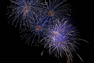 大井川花火大会

